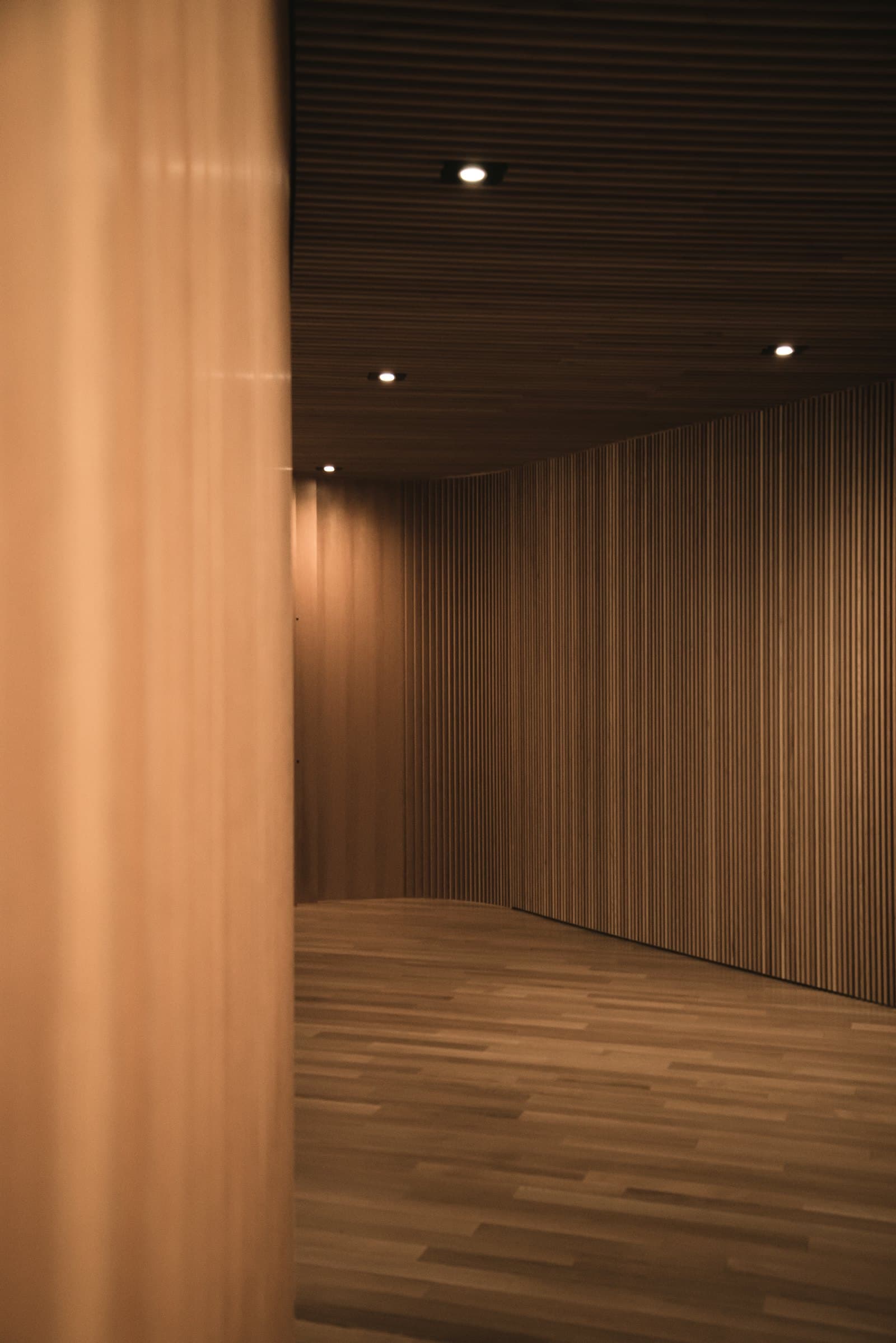 Warm timber detailing in raking light